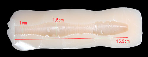 12　トゥエルブ