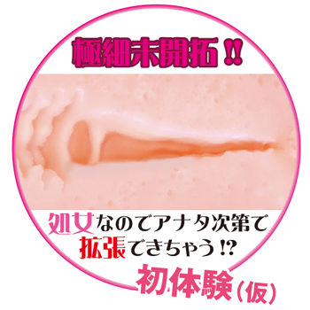 ヴァージンエイジ〜入学〜