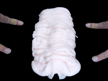 ぐちょ濡れ名器MONSTER…淫