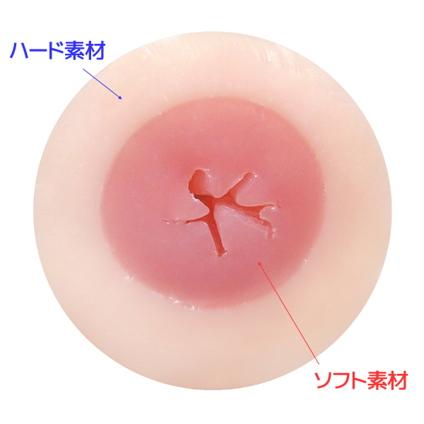 ダブル最高級のお嬢様ポテンシャル 断面図