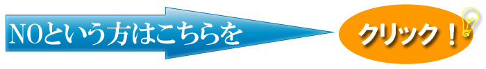 NOですか?NOなんですね?それは残念です