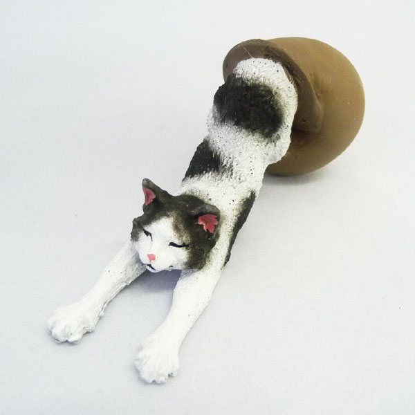 キャットァツムリ(黒ぶち)