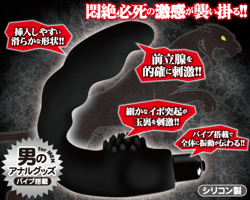 黒豹