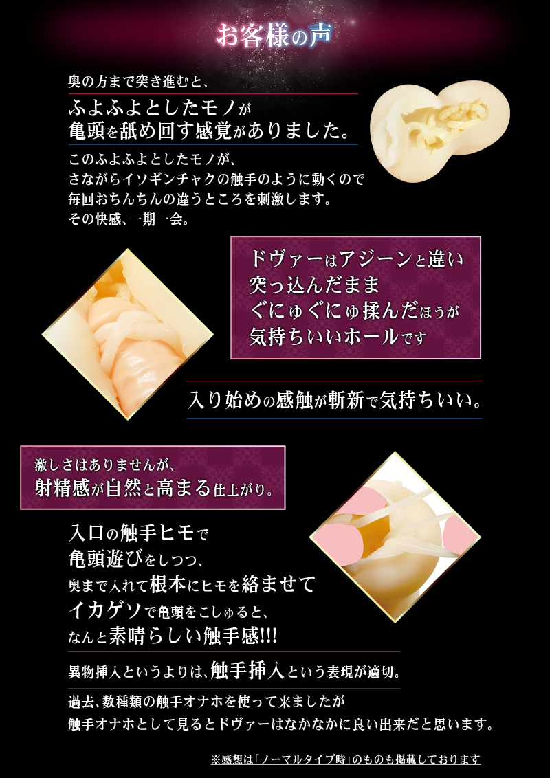 異世界への挿入シリーズ2　ドヴァー　ソフト
