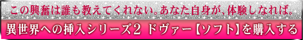 異世界への挿入シリーズ2　ドヴァー　ソフト購入