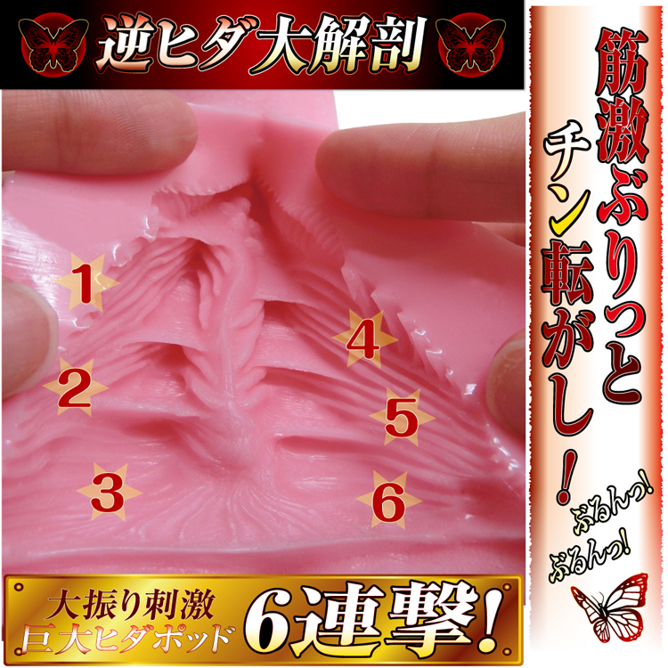 逆ヒダヴァギナージュ