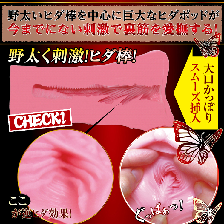 逆ヒダヴァギナージュ