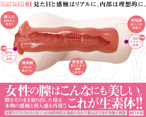 生素体 01