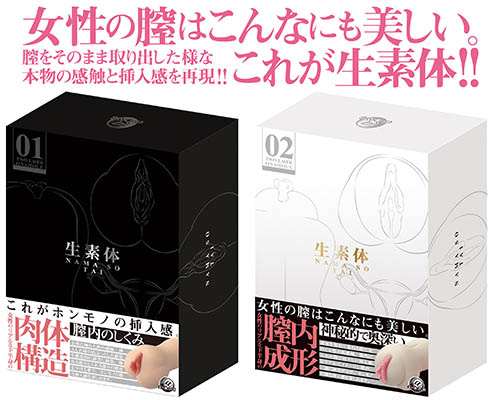 生素体 02