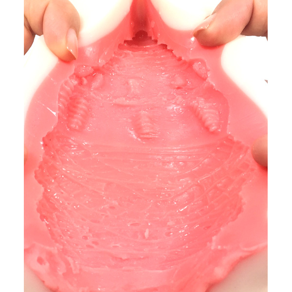 生素体 01