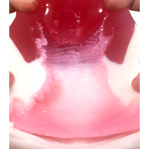 【極彩】Uterus ウテルス