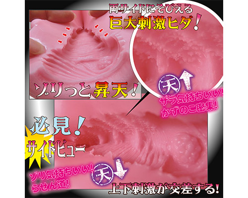 かずのこ天上天下らせん 