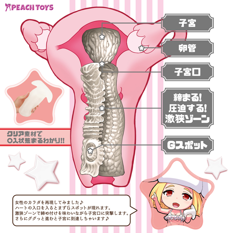 子宮ホールウテルスX(エックス)【スタンダードクリア】 