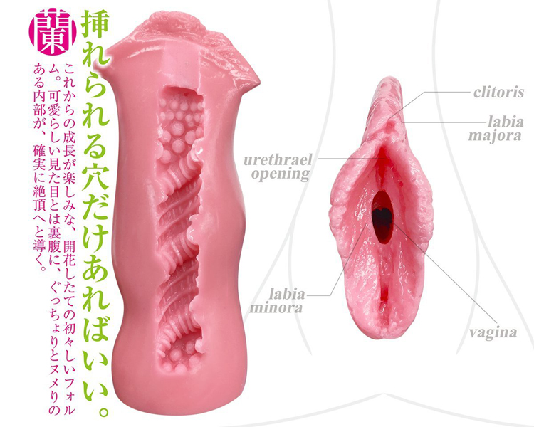 まるごと小陰唇　蘭 