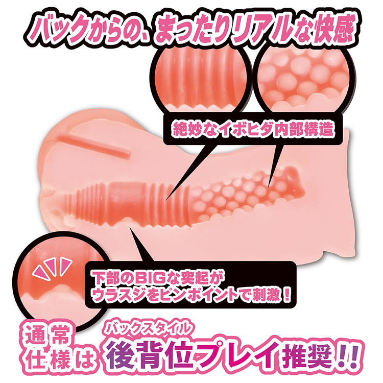 バックガール 