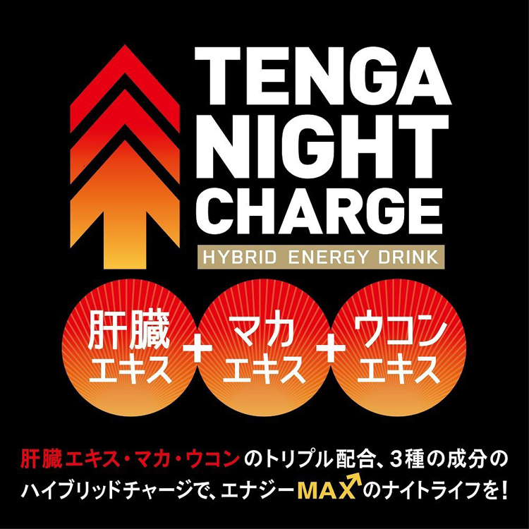 TENGA NIGHT CHARGE テンガ ナイトチャージ