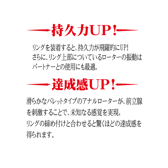 ANAL ANCHOR(アナルアンカー)両成敗 TYPE-B