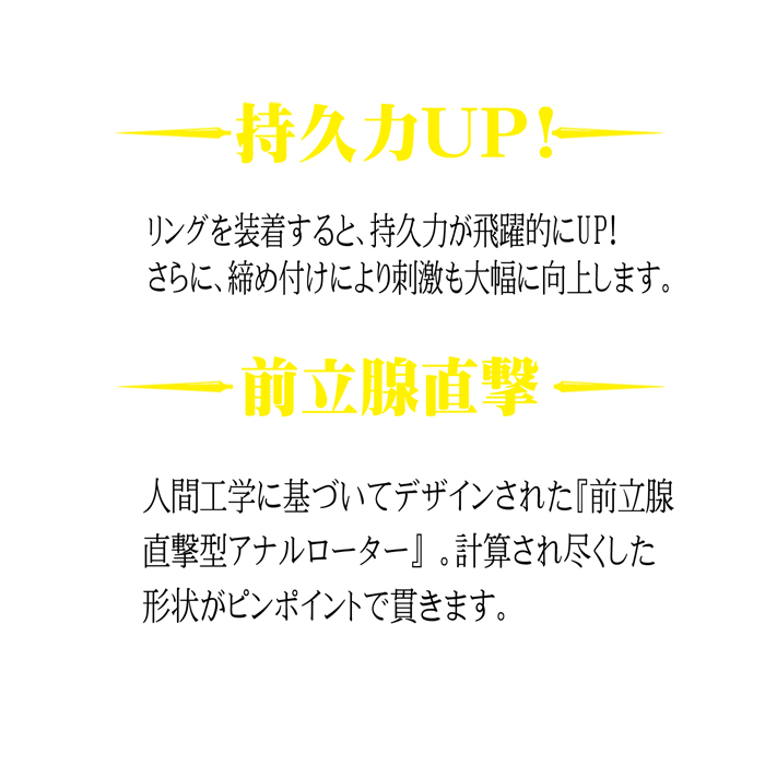 ANAL ANCHOR(アナルアンカー)両成敗 TYPE-P