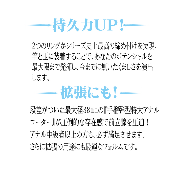 ANAL ANCHOR(アナルアンカー)両成敗  TYPE-G