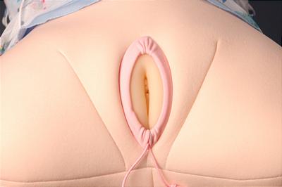 ハイグレードアリスの抱き枕　生膣型
