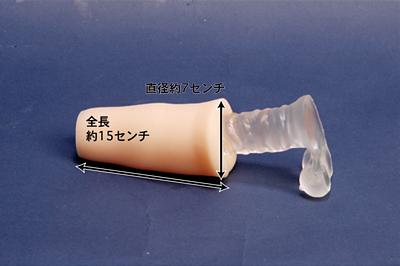 ハイグレードお姉さんの抱き枕　生膣型
